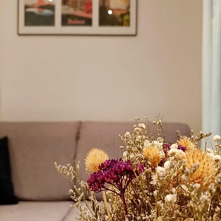 Quiet In St Peter's Square Apartment Toulouse